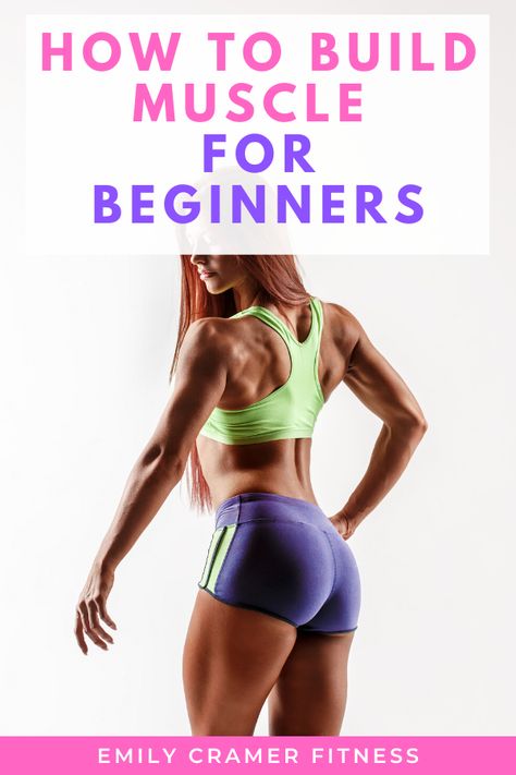 Gain Muscle Exercises For Women, Body Building For Beginners Woman Diet, How To Start Building Muscle For Women, How Often To Work Each Muscle Group, Food To Grow Muscle Women, How To Build Your Back Muscles, What To Eat To Build Muscle, Exercises To Gain Muscle For Women, Muscle Building Diet For Women