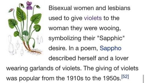 The Language Of Flowers, Girlfriend Goals, Language Of Flowers, Hopeless Romantic, Fun Fact, Pretty Words, Hibiscus, Poetry, Humor