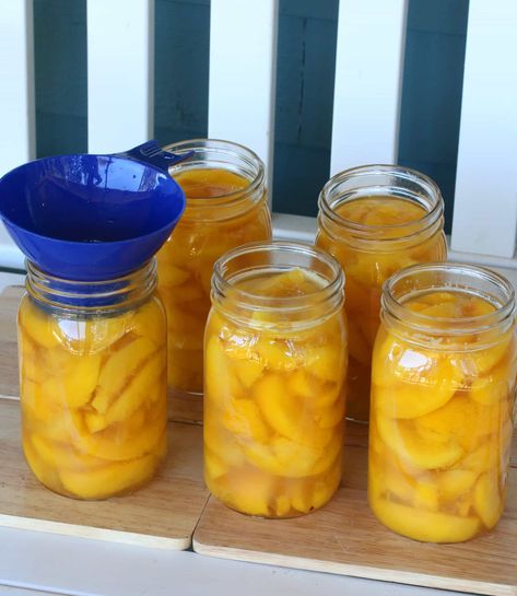 How To Can Peaches (Without Sugar, With Syrup or Honey) - The Daring Gourmet Canning Peaches Recipes, Canning Syrup, How To Can Peaches, Can Peaches, Canning Peaches, Peach Jelly, Simply Orange, Peach Pie Filling, Canning Fruit