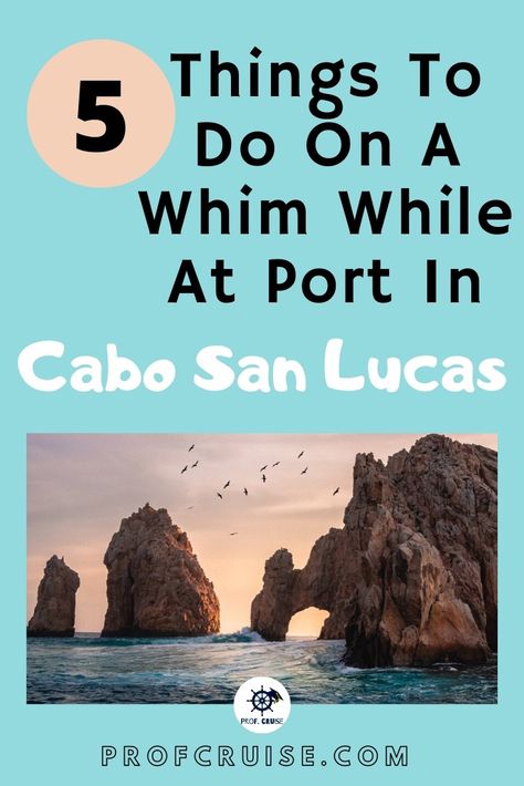 Cabo San Lucas Marina, Cabo San Lucas Cruise Port, Cabo Cruise Outfit Ideas, Cabo San Lucas Cruise, Cabo San Lucas Excursions, Medano Beach Cabo, Ensenada Cruise, Cruise To Mexico, Mexican Cruise