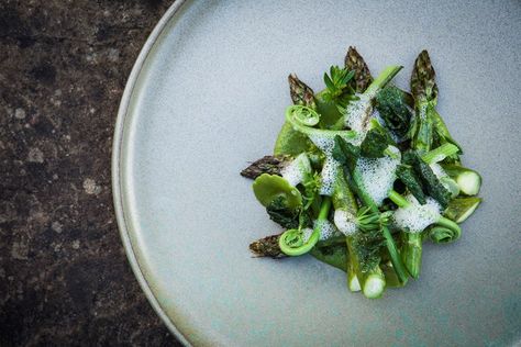 Wye Valley asparagus with hogweed, maritime pine, hedgerow clippings and mead Asparagus Fine Dining, Wye Valley, Mead Recipe, Fiddlehead Ferns, Pea Shoots, Party Bites, Asparagus Recipes, Great British Chefs, Summer Menu