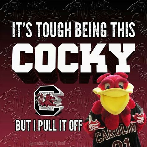 Gamecock Nation! Gamecock Football, Usc College, South Carolina Gamecocks Football, Gamecock Nation, Gamecocks Football, Go Gamecocks, Usc Gamecocks, Carolina Football, College Game Days