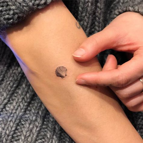 Shell Tattoo, Think Tattoo, Seashell Tattoos, Shell Tattoos, Tattoos For Girls, Cool Tattoo, Small Girl Tattoos, Diy Tattoo, Temporary Tattoo Designs