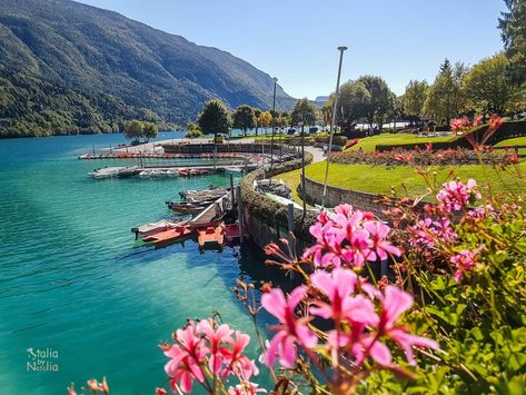 MOLVENO - most beautiful lake in Italy at the foot of the Brenta Dolomites Lake Molveno Italy, Molveno Italy, Travel Wishes, Italian Alps, Travel Wishlist, Italy Aesthetic, Travel Italy, Lake Garda, Jet Plane