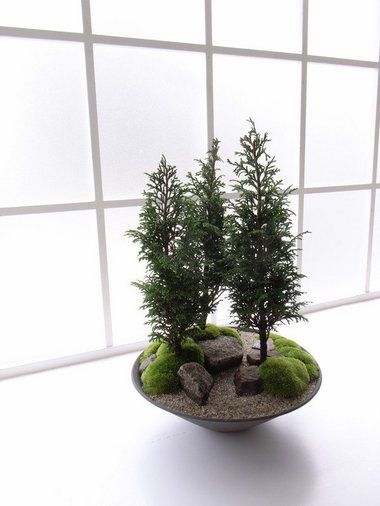 #Japanese #bonsais #trees Bonsai Forest, Portland Japanese Garden, Plantas Bonsai, Mini Bonsai, Moss Garden, Decoration Plante, Bonsai Art, Garden Terrarium, Miniature Trees