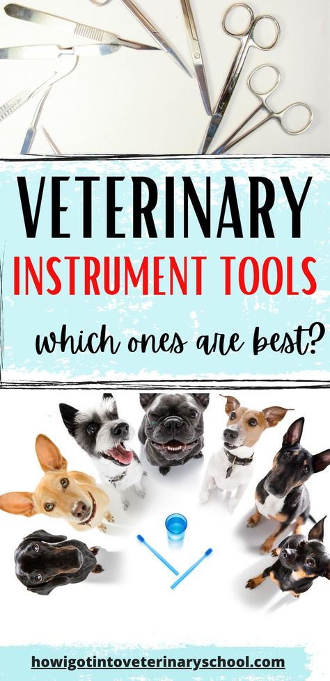 Veterinary Instrument Tools: Veterinary Surgeon, Vet School, Vet Med, Vet Clinics, Used Tools, Tools And Equipment, Veterinarian, Need To Know, Tools