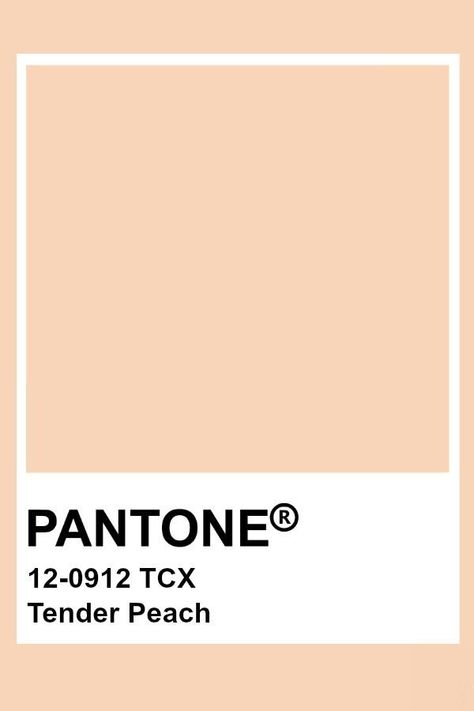 Pantone Tender Peach Peach Pantone, Pantone Tcx, Pantone Swatches, Pantone Palette, Pantone Colour Palettes, Color Inspo, Colour Board, Peach Color, Colour Schemes