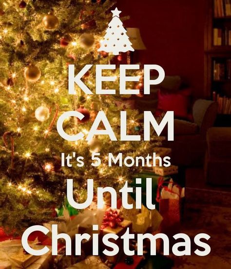 Can't hardly wait!! Days Till Christmas, Days And Months, Decorating Inspiration, 5 Months, Christmas Quotes, Christmas Countdown, Christmas Morning, Christmas Decorating, Classic Christmas