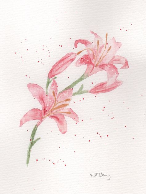 Pink Watercolour Painting, Simple Lily Painting, Pink Lilies Tattoo, Lilies Painting Easy, Pink Lily Tattoo, Stargazer Lily Watercolor, Watercolour Lilies, Watercolour Flower Tattoo, Watercolor Lillies