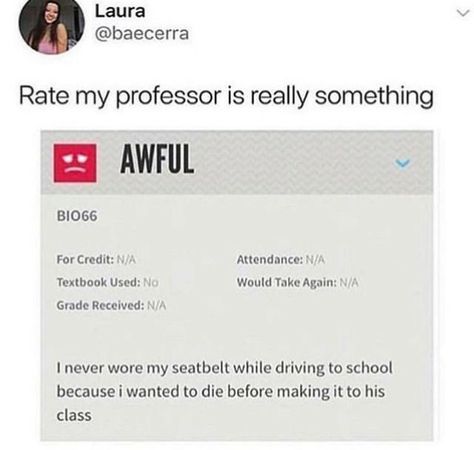 Rate My Professor, Collateral Beauty, School Memes, What’s Going On, Funny Pins, Tumblr Funny, Funny Posts, Funny Texts, Really Funny