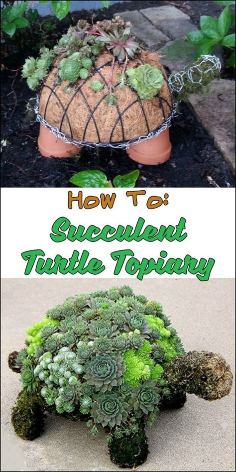 Succulent Turtle, Turtle Planter, Succulent Garden Design, Succulent Garden Diy, Succulent Gardening, Garden Art Sculptures Diy, Have Inspiration, Garden Art Projects, Garden Yard Ideas