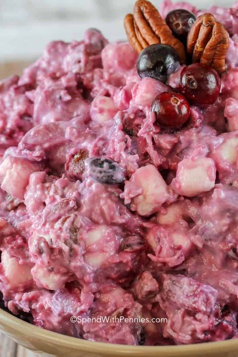 This Cranberry Salad Recipe is an easy fluff salad recipe that everyone loves. A simple mixture of cranberry sauce pecans, coconut, marshmallows and pineapple. #spendwithpennies #cranberrysalad #sidedish #dessert #fluffsalad #cranberryrecipe #cranberrysauce Cranberry Fluff, Cranberry Salad Recipes, Fluff Salad Recipes, Fluff Salad, Homemade Cranberry Sauce, Best Thanksgiving Recipes, Cranberry Salad, Ambrosia Salad, Cranberry Sauce Homemade