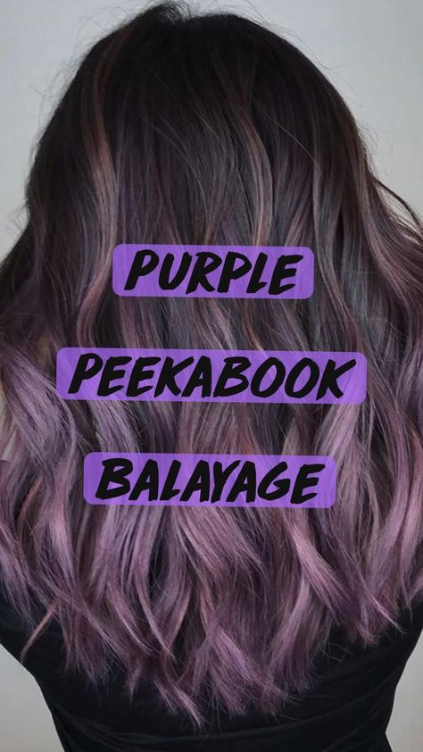 Pin on Hair Dark With Purple Highlights, Hair Dye On Brunettes, Womens Purple Hair, Funky Hair Colors For Brunettes, Purple Shadow Root Brunette, Hair Colors That Go With Brown Hair, Hair Ideas To Dye Your Hair, Purple In Brown Hair Subtle, Dark Brown Hair With A Pop Of Color