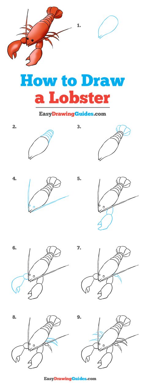 How to Draw a Lobster - Really Easy Drawing Tutorial How To Draw A Lobster Step By Step, Cute Lobster Drawing, How To Draw A Lobster, Lobster Line Drawing, Lobster Drawing Simple, Lobster Doodle, Lobster Drawing, Lobster Art, Sea Drawing