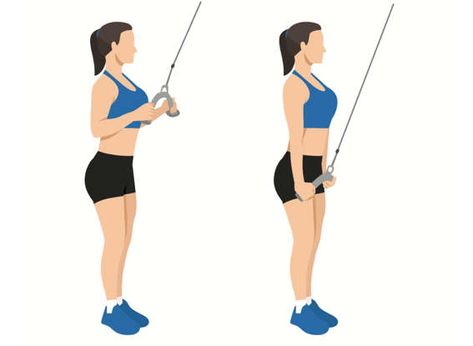 5. Rope Triceps Extensions Exercises For Arm Fat, Arm Fat Exercises, Triceps Exercises, Dumbbell Bicep Curl, Dumbbell Fly, Tricep Pushdown, Dumbbell Shoulder Press, Bicep Muscle, Strength Training Routine