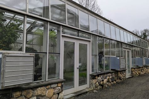 Stopping Inside the Vegetable Greenhouse - The Martha Stewart Blog Wooden Garden Boxes, Outdoor Garden Bed, Types Of Kale, Vegetable Greenhouse, Gooseberry Bush, Bedford New York, Biennial Plants, Sour Fruit, Succession Planting