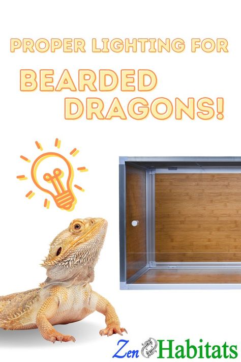 Bearded Dragon Lighting Set Up, Bearded Dragon Lighting, Bearded Dragon Habitat, Bearded Dragon Tank, Dragon Light, Bearded Dragon Care, Dragon Stuff, Cage Light, Reptile Cage