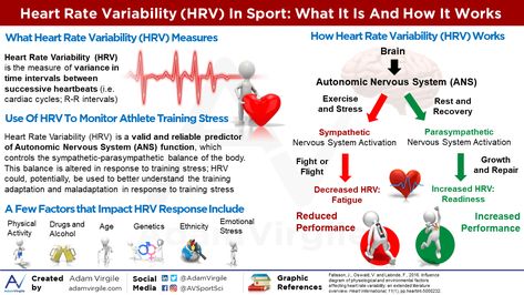 Heart Rate Variability, How To Lower Heart Rate, Bpm Chart Heart Rate, Slow Heart Rate, Normal Heart Rate, Lower Heart Rate, Thoracic Cavity, Cardiac Cycle, Brain And Heart