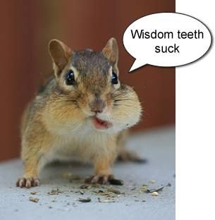 Wisdom Teeth Suck! Teeth Jokes, Wisdom Teeth Quotes, Dentist Poster, Healthy Tongue, Surgery Humor, Wisdom Teeth Funny, Dental Implants Cost, Teeth Implants, Tooth Extraction