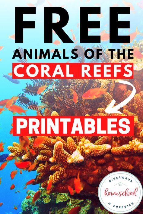 Are you learning about ocean habitats in science? Your children will enjoy  learning about coral reefs with these free animals of the coral reefs printables. Coral Reef Preschool Activities, Coral Reef Preschool, Coral Reef Craft For Kids, Coral Reef Printables Free, Coral Reef Activities For Kids, Great Barrier Reef Crafts For Kids, Coral Reef Activities, Coral Reef Ecosystem Project, Coral Reef Lesson Plan