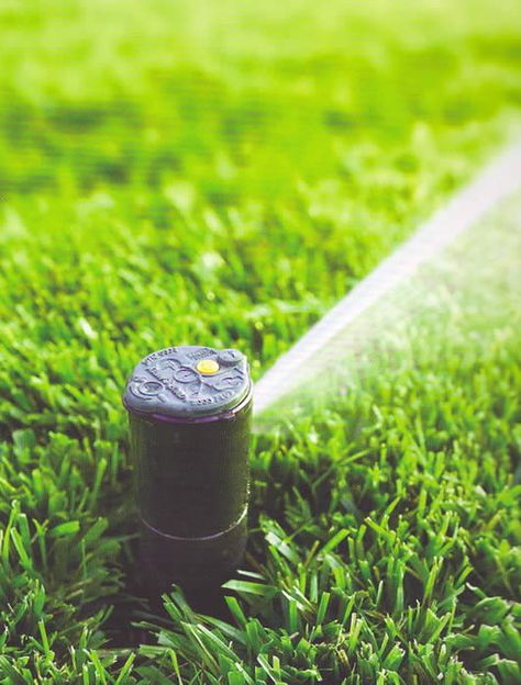 Irrigation For Raised Beds, Raised Garden Beds Ideas, Yard Upgrades, Sprinkler System Diy, Garden Beds Ideas, Garden Drip Irrigation, Irrigation Diy, Drip Irrigation Diy, Lawn Sprinkler System