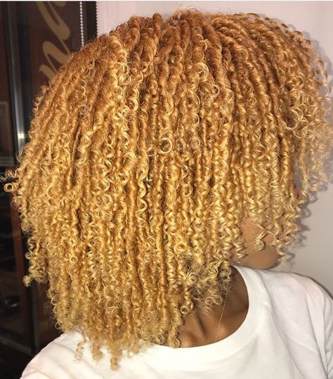 Blonde 4a Hair, Blonde Brown Hair Color, Yellow Hair Color, Blonde Natural Hair, Honey Blond, Curly Color, Dyed Curly Hair, Natural Girl, Natural Hair Short Cuts