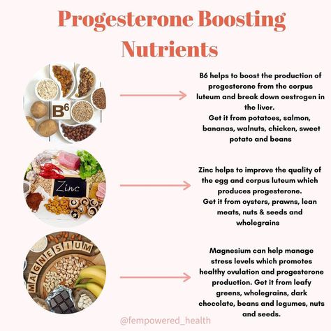 Progesterone Foods, Increase Progesterone, Hormone Nutrition, Foods To Balance Hormones, Low Estrogen Symptoms, Too Much Estrogen, Low Estrogen, Healthy Hormones, Estrogen Dominance