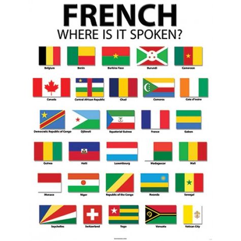 Informative Poster, French Display, French Speaking Countries, Francophone Countries, French Speaking, Countries And Flags, Speak French, French Language Lessons, Core French