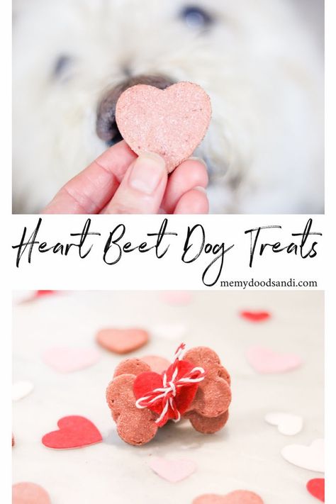 Strawberry Treats For Dogs, Valentines Dog Treats Recipe, Valentine Dog Treats Homemade, Raspberry Dog Treats, Strawberry Dog Treats Recipes, Valentines Day Dog Treats, Valentines Dog Treats, Blackberry Dog Treats, Easter Dog Treats