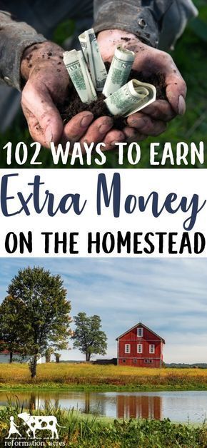 Homestead Business, Homesteading Diy, Homestead Farm, Farm Business, Animal Husbandry, Homesteading Skills, Hobby Farm, Urban Homesteading, Money Making Jobs