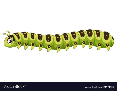 A caterpillar on white background Royalty Free Vector Image Caterpillar Clipart, Butterfly Life Cycle Craft, Caterpillar Art, Life Cycle Craft, The Giant Peach, Creepy Doll, Butterfly Life Cycle, Creepy Dolls, Background Illustration