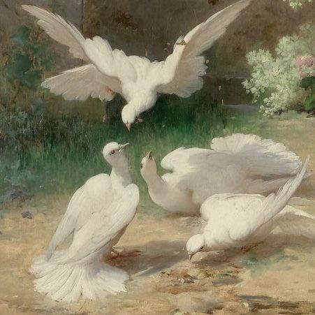 Eugene Bidau, White Birds, Rennaissance Art, Old Paintings, Aesthetic Painting, Romantic Art, Ethereal Art, Classical Art, Dreamy Art