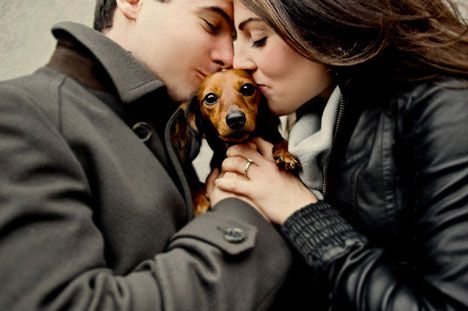 Best Engagement Photos, Puppy Announcement, Photos With Dog, Dog Photoshoot, Weenie Dogs, Puppy Photos, Dachshund Lovers, Dachshund Love, Weiner Dog