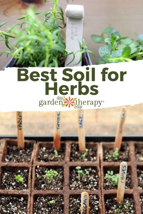 Outdoor Herbs, Growing Herbs Outdoors, Growing Herbs Inside, Garden Redesign, Garden Soil Mix, Propagate Plants, Herb Garden Pots, Small Herb Gardens, Outdoor Herb Garden