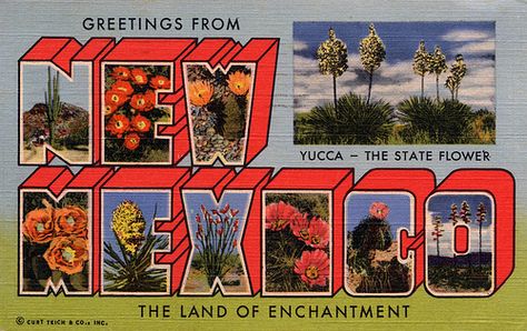 Greetings from New Mexico, The Land of Enchantment - Large Letter Postcard Mexico Postcard, Mexico Poster, Art Altéré, Printable Postcards, Big Letter, Big Letters, Land Of Enchantment, Large Letters, Wall Art For Sale