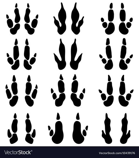 Animals Footprints, Paw Drawing, Dog Bear, Airplane Vector, Animal Footprints, Bear Vector, Fruit Vector, Kangaroo Paw, Vector Trees