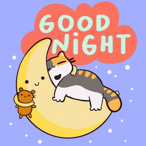 Good Night Message, Cheerful Quotes, Good Night Cat, Good Night I Love You, Evening Pictures, Good Knight, Good Nights, Good Morning Beautiful Gif, Cute Good Night