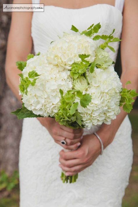 Bells Of Ireland Bouquet, Hydrangeas Wedding Bouquet, Green Hydrangea Bouquet, Elegant Backyard, Bells Of Ireland, Hydrangea Bouquet Wedding, Beautiful Field, Nh Wedding, Easy Wedding Planning