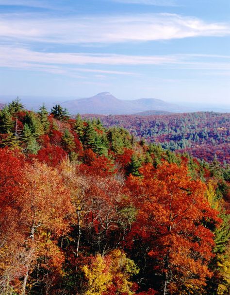 This leaf peeping season, escape the crowds to discover vibrant fall colors at these hidden gems. Clayton Georgia, Fall Scenes, Chattahoochee National Forest, Colorful Mountains, North Georgia Mountains, Leaf Peeping, Autumn Harvest, Mountain Town, Fall Pictures