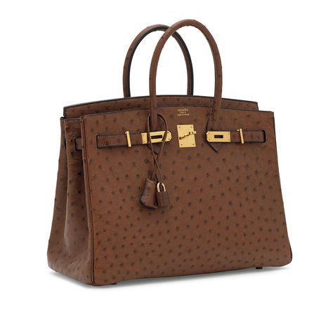 Birkin Ostrich, Hermes Wishlist, Ostrich Birkin, Alligator Handbags, Hermes Birkin Handbags, Hermes Kelly Bag, Womens Bag, Popular Handbags, Perfect Handbag