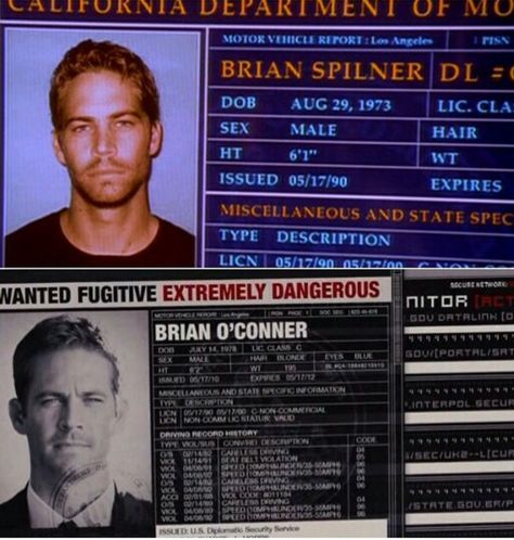 Brian O'Conner Brian O'conner Aesthetic, Brian O'conner Wallpaper, Brian O'conner, Fast Furious Quotes, Brian O Conner, Movie Fast And Furious, Paul Walker Tribute, Fast And Furious Cast, Fast And Furious Actors