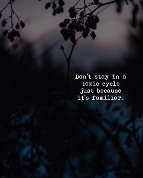 Toxic Cycle Quotes, Toxic Cycle, Breaking Cycles, Mindfulness App, She Changed, Motivation Psychology, Toxic Love, Not My Circus, Instagram Picture Quotes