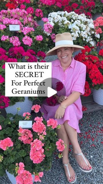 Carmen Johnston Gardens on Instagram: "We always had geraniums growing up!!! But so many people struggle with them!" Geranium Landscaping, Geraniums Garden, Geranium Plant, People Struggle, August 12, So Many People, Many People, Geraniums, Container Gardening