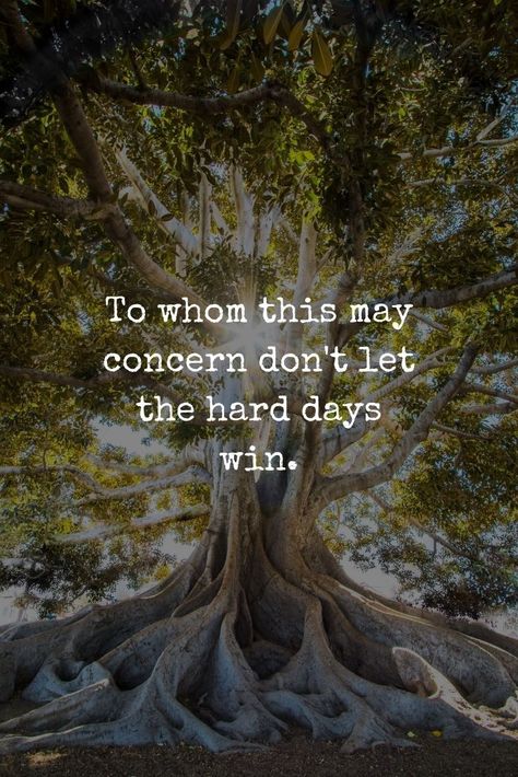 To whom this may concern don't let the hard days win. Concern Quotes, Hard Days, Monday Blues, Strong Quotes, Wonderful Words, Pretty Words, Monday Motivation, Don't Let, Favorite Quotes