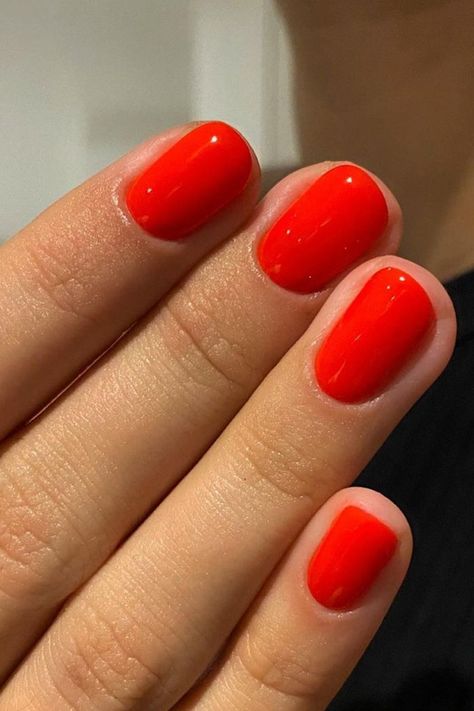 Nagellack Trends, Classic Nails, Red Nail Polish, Red Nail, Shellac Nails, Polish Colors, Summer Nails Colors, Nagel Inspo, Cat Kuku