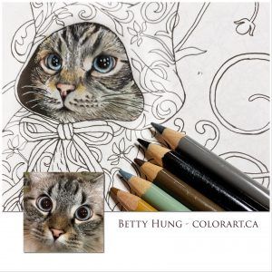 Kanoko Egusa, Forest Coloring Book, Pencil Inspiration, Color Lessons, Colored Pencil Set, Coloring Supplies, Curious Creatures, Cat Model, Adult Coloring Book Pages