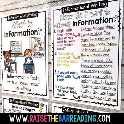 Informational Writing Teaching Blog Post! Teaching Informational Writing in Grade 1, 2, and 3. Grade 1 focuses on finding facts, and Grades 2 and 3 focus on supporting points with facts. This unit includes anchor charts, writing activities, examples, sentence starters and transitions, writing prompts, graphic organizers, and informational report writing templates! Low prep and makes teaching informational writing to elementary students a breeze! Step Up To Writing Anchor Chart, How To Write Informational Text, Information Report Anchor Chart, Second Grade Informational Writing, Information Report Writing Examples, Nancy Fetzer Writing Anchor Charts, Teaching Informative Writing, Informational Writing Anchor Chart 3rd Grade, Informative Writing 3rd Grade