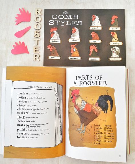 Chicken Activities, Playful Pioneers, Curriculum Themes, Chicken Life Cycle, Hatching Chickens, Unit Studies Homeschool, Books Crafts, Raising Chicks, Study Books