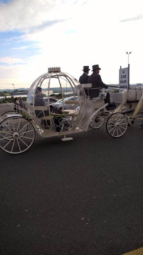 Prom Horse, Prom 2023, Horse And Carriage, Horse Carriage, Prom, Horses, Travel, Quick Saves