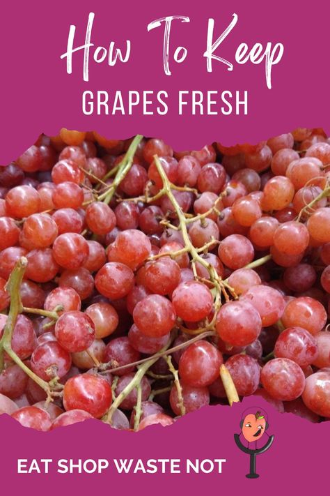 A bunch of grapes with the words how to keep grapes fresh Amazing Food Hacks, Fresh Eats, Most Popular Recipes, Food Preservation, Preserving Food, Food Items, Amazing Food, What You Can Do, Time Of The Year